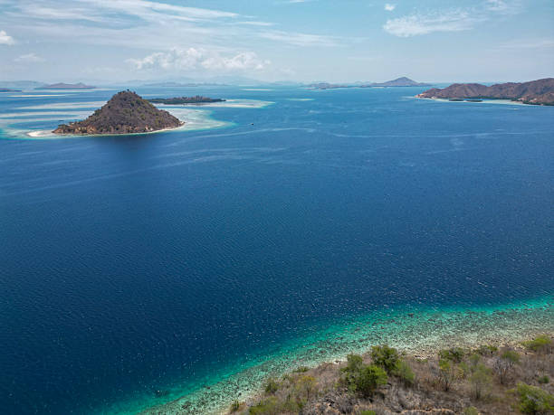 istock komodo national park, indonesia 2221150968