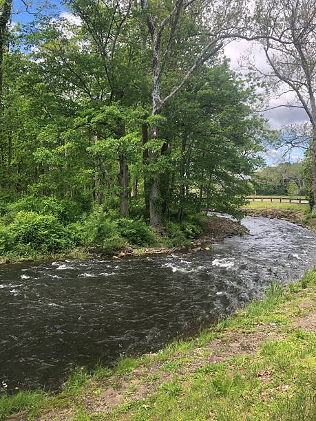 istock Tranquil River Bend at Natirar Park, Peapack, NJ 2221153021