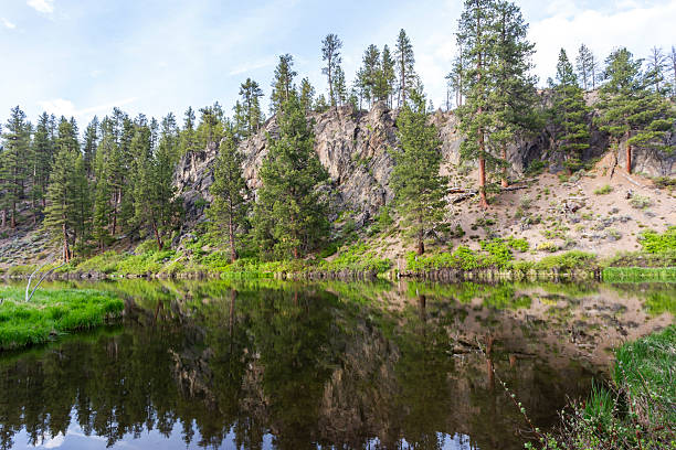 istock Beautiful reflection in calm water in Deschutes River 2221153547