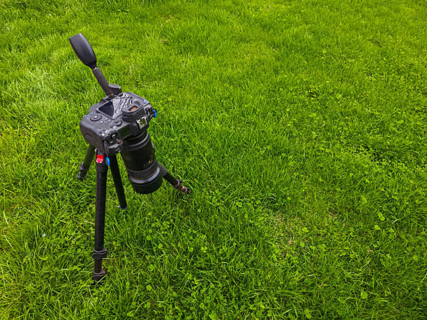 Camera rests on tripod in peaceful grassy field under bright sky. Scene captures tranquility and calmness of outdoor photography setup.