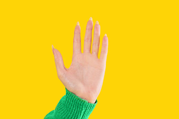 A hand is raised with expressive fingers against a bright yellow background, emphasizing the contrast and vibrancy of colors in a bold artistic display.