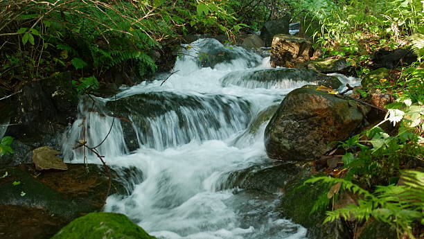 istock natural scenery inside Changbai mountain, north east China 2221157893