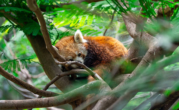 A paradise island full of natural wonders