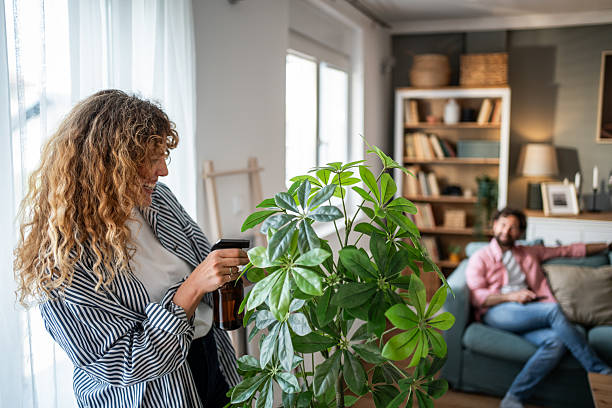 istock Woman watering plants at home while man relaxes on sofa 2221169079