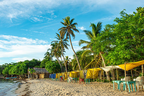 Tropical Beach Scene in Rincon del Mar