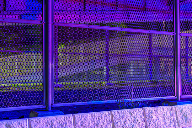 Night Fence in Neon Purple Glow