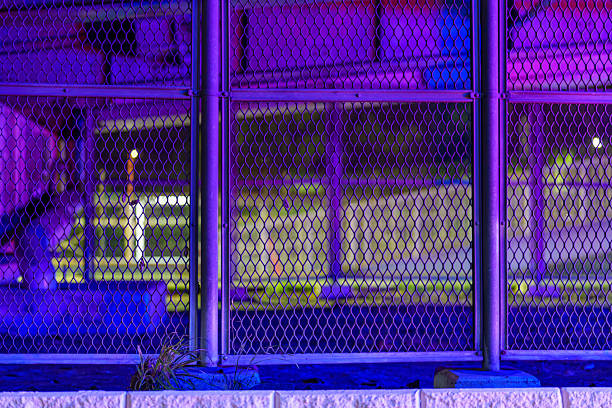 Night Fence in Neon Purple Glow