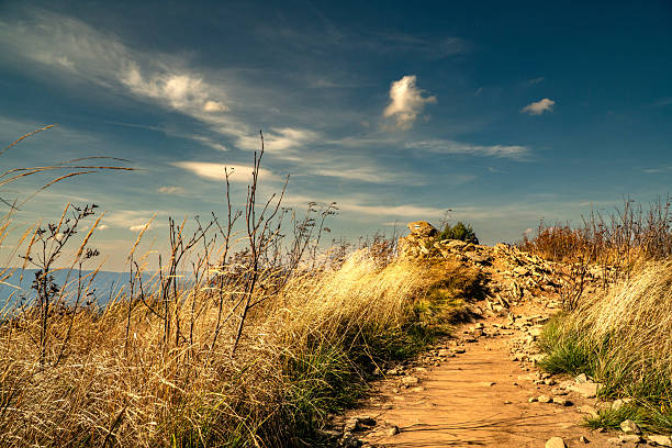 Autumn mountain landscape. Bieszczady Mountains, Poland.