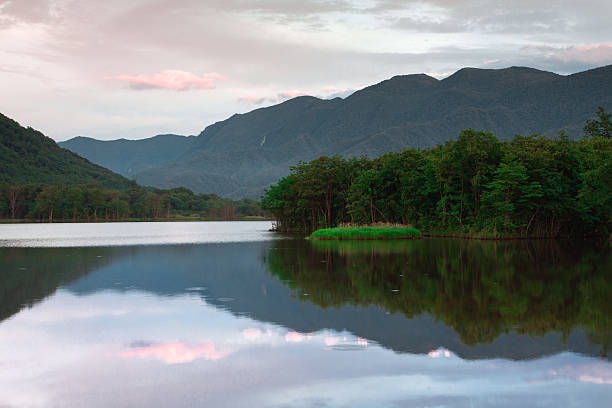 Wetland, swamp, lake surface, calm, paradise, scenery, clouds