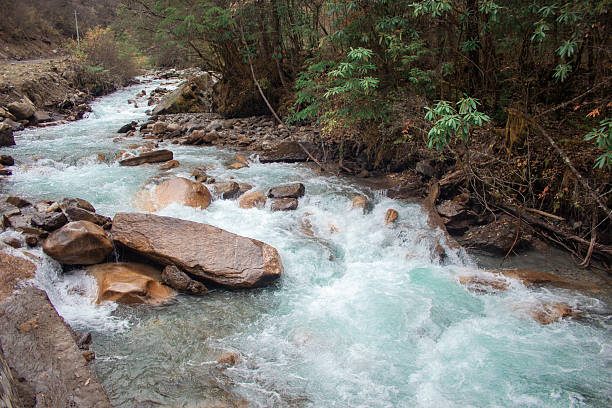 Forests, waterfalls, streams, rocks, autumn, coolness