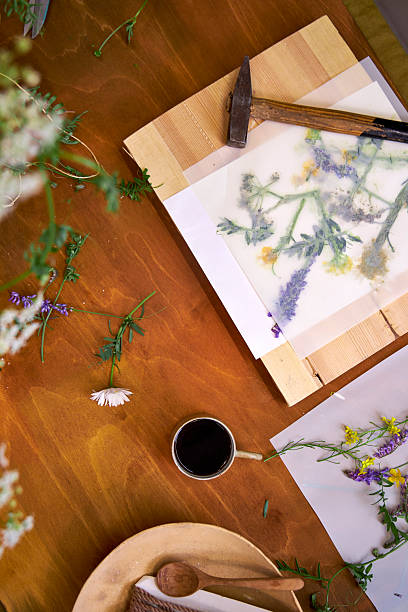 istock Creative DIY project with summer wildflowers: floral imprint technique using hammer on paper, top view of botanical art process on rustic wooden table 2221191337