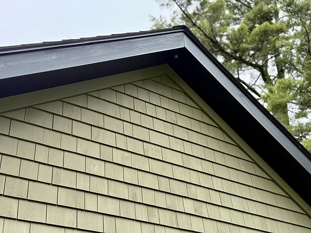 istock Wood shingle siding and roof 2221194089