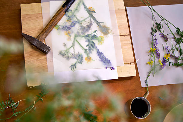 istock Creative DIY project with summer wildflowers: floral imprint technique using hammer on paper, top view of botanical art process on rustic wooden table 2221195352
