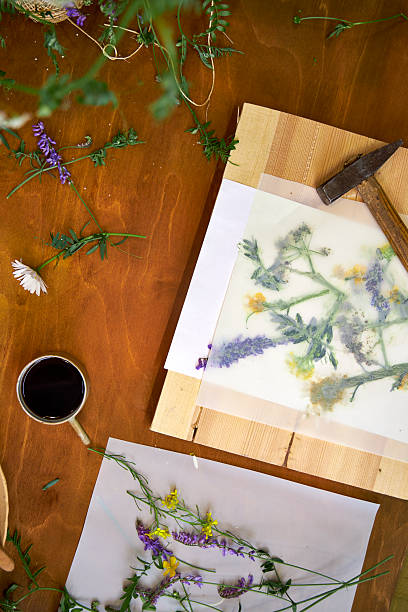 istock Creative DIY project with summer wildflowers: floral imprint technique using hammer on paper, top view of botanical art process on rustic wooden table 2221195392
