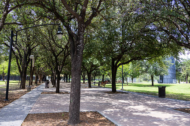 istock Pov walking in the park 2221195995