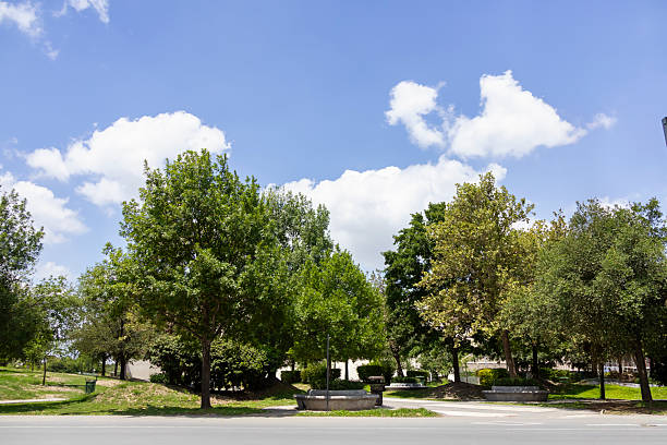Pov walking in the park on a sunny day