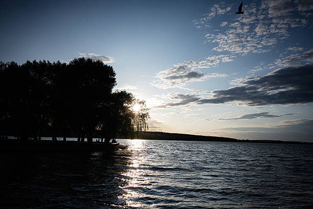 A quiet evening scene with calm water, minimalist silhouettes, and a soothing atmosphere.