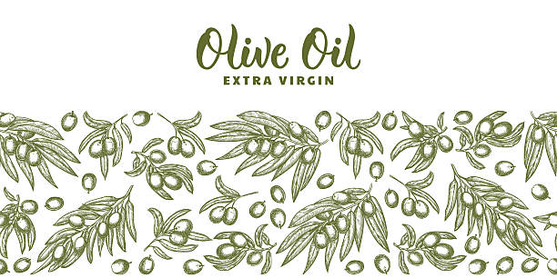 Olives branches with leaves horizontal seamless background with calligraphy lettering. Hand drawn sketch vector illustration. Food, oil, cosmetics products label, packaging design elements