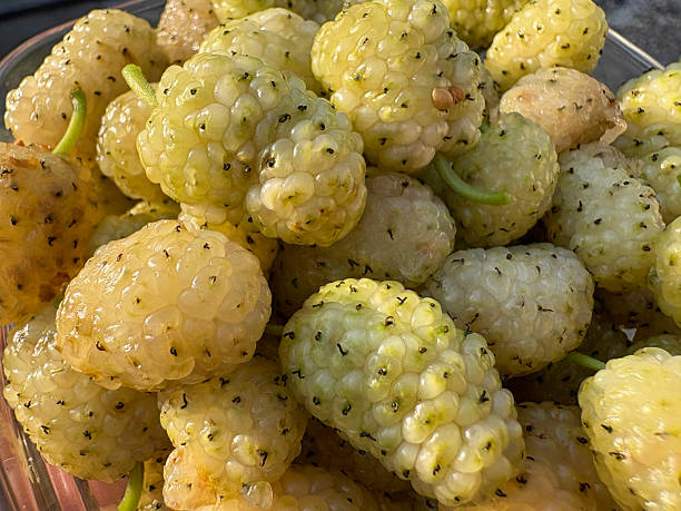 Close-up of fresh mulberries