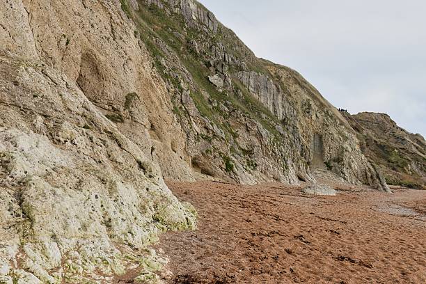 Limestone cliffs, part of the Jurassic Coast near Durdle Door in March, Dorset, England, United Kingdom