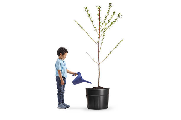 istock Kid pouring water to a tree 2221209614