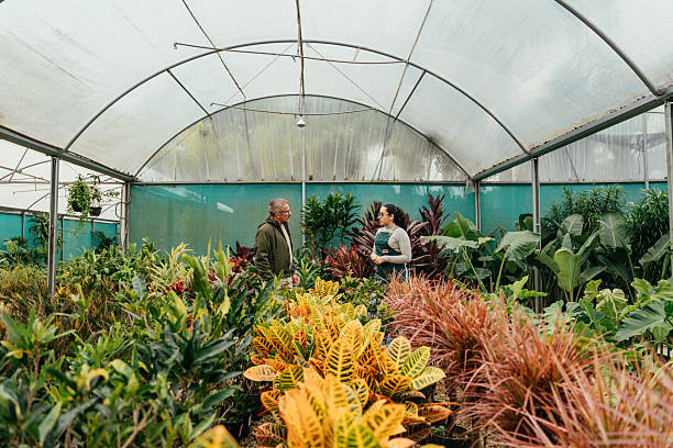 istock Mature man choosing plants with florist 2221213539