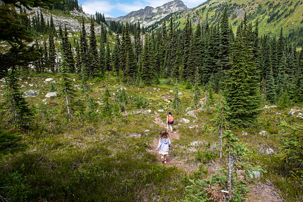 istock Young girls hike in alpine 2221214988