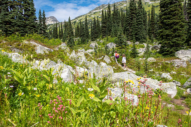istock Young girls hike in alpine 2221215086