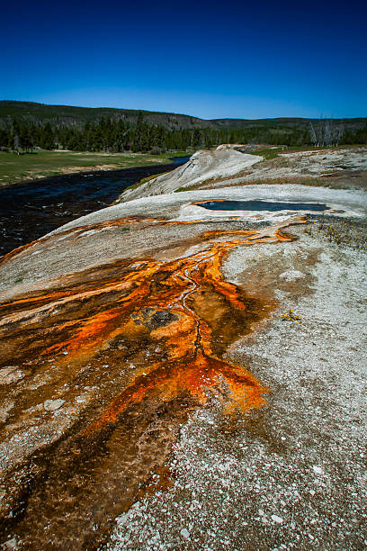 yellostone national park in August