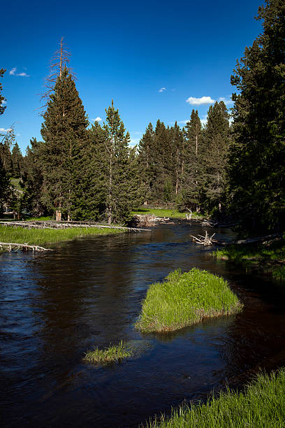 istock Yellowstone National Park Madison River Scenery 2221215145