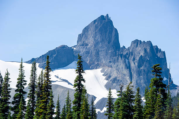 Mountain peak and forest, Black Tusk in Garibaldi Provincial Park