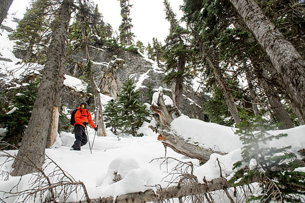 istock Backcountry skier navigates forest and rocks 2221216915