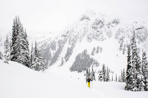 istock Backcountry skier climbs mountain on snowy day 2221220540