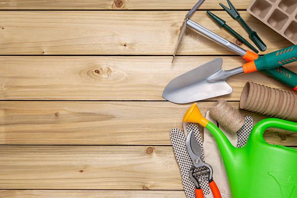 istock Tools for gardening on wooden background 2221222938