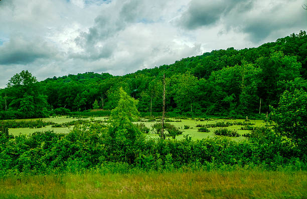 Lower Killbuck Creek Wildlife Area, Holmes County, Ohio