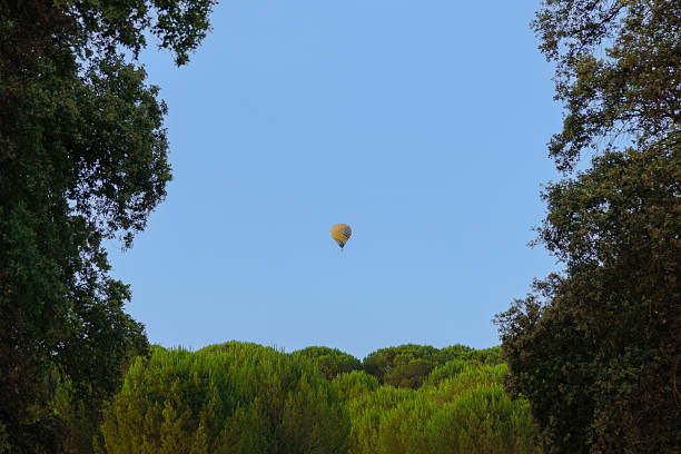 A vintage film photograph of a red and yellow hot air balloon against a blue cloudy sky.