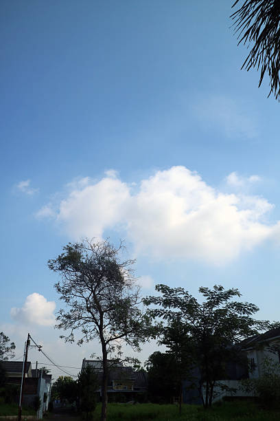 A serene suburban scene with a clear blue sky, fluffy clouds, and silhouetted trees