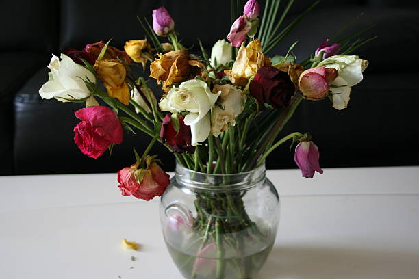 istock Colorful flowers in beautiful vase 2221239112