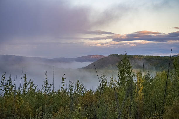 Siberian mounts.Canon 1DS-mkIIITS-E 24/3.5L.