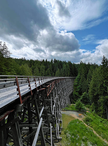 istock Enchanted Crossing: A Wooden Trestle in Nature's Embrace 2221242601