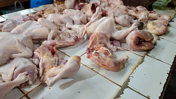 istock Raw Chicken Meat Cuts on Market Counter 2221251155