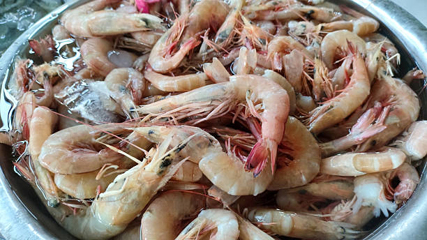 istock Fresh Shrimp in Bowl with Ice at Fish Market 2221251171