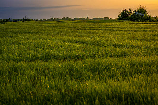 istock A scenic view of a lush green field 2221262889