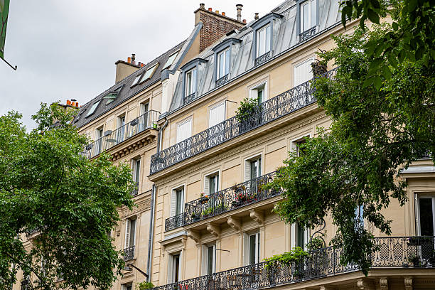 istock Apartment Buildings with Balconies and Trees in Paris 2221275463