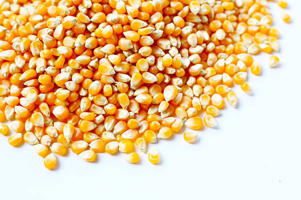 istock Yellow raw unpopped popcorn kernels 2221278625