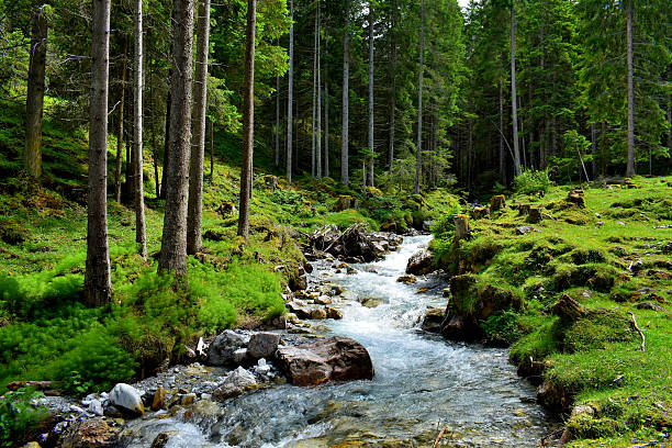 Landscape of Austrian Alps with beautiful river ,lake and mountains