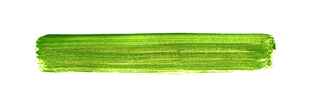 istock Green paintbrush stripe on white color 2221282345