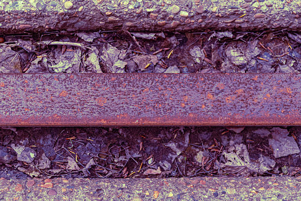 Asphalt street with train rails