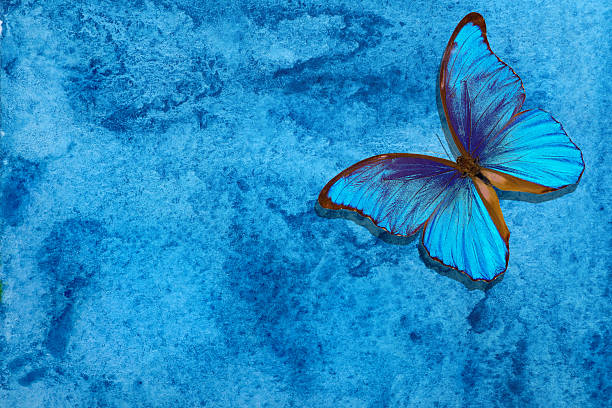 istock Blue morpho butterfly. Abstract blue watercolor background. Blue abstract background. Wet watercolor paper 2221287929