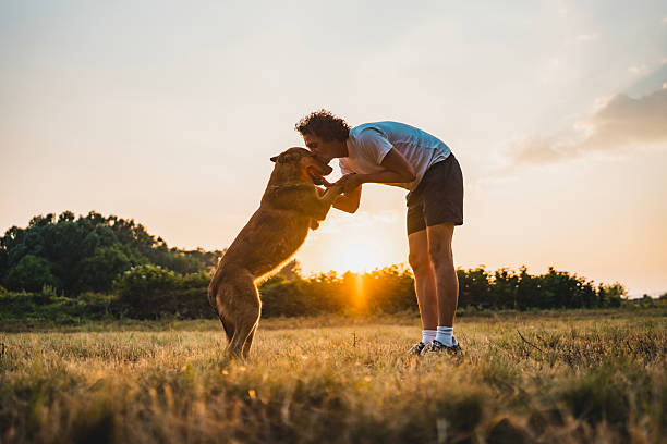 A man interacts affectionately with a dog during a beautiful sunset in an open grassy field, expressing companionship, friendship, and love in a tranquil outdoor scenario surrounded by serene natural beauty.
